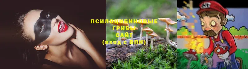 МЕГА онион  Светлоград  Галлюциногенные грибы GOLDEN TEACHER 